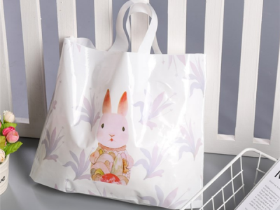 日用(yong)品包裝(zhuāng)袋